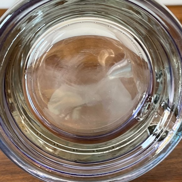 Princess House Pheasant Bird Beer Mug Crystal Glass Stein Vintage - Picture 10 of 10